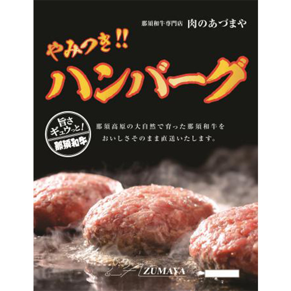〈ふるさと納税 栃木県那須町〉やみつきハンバーグ(6個入)