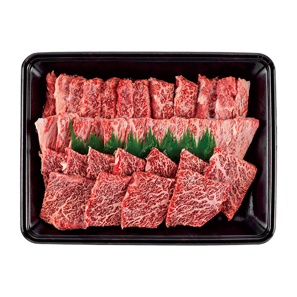  ēp500g