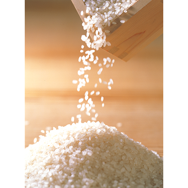 ◇〈松原米穀〉一粒の想いななつぼし 5kg