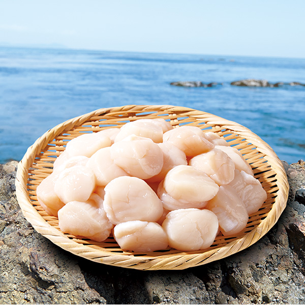 ○長万部産 湾宝ホタテ 北の宝セット