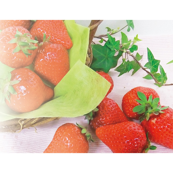 ○福岡県産 あまおう