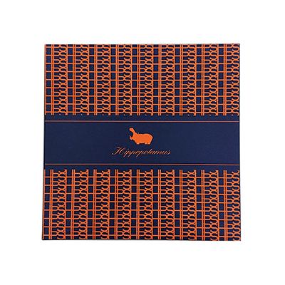 〈ヒポポタマス〉専用ギフトBOX/チーフタオル・ウォッシュタオル